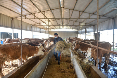 宿松先鋒網(wǎng) 畜牧漁業(yè)飼料銷售的發(fā)展現(xiàn)狀與未來趨勢