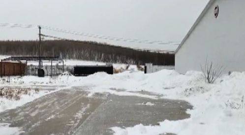 風(fēng)雪同舟 畜牧部門筑牢防寒屏障，汽車裝飾業(yè)迎冬季消費(fèi)熱潮